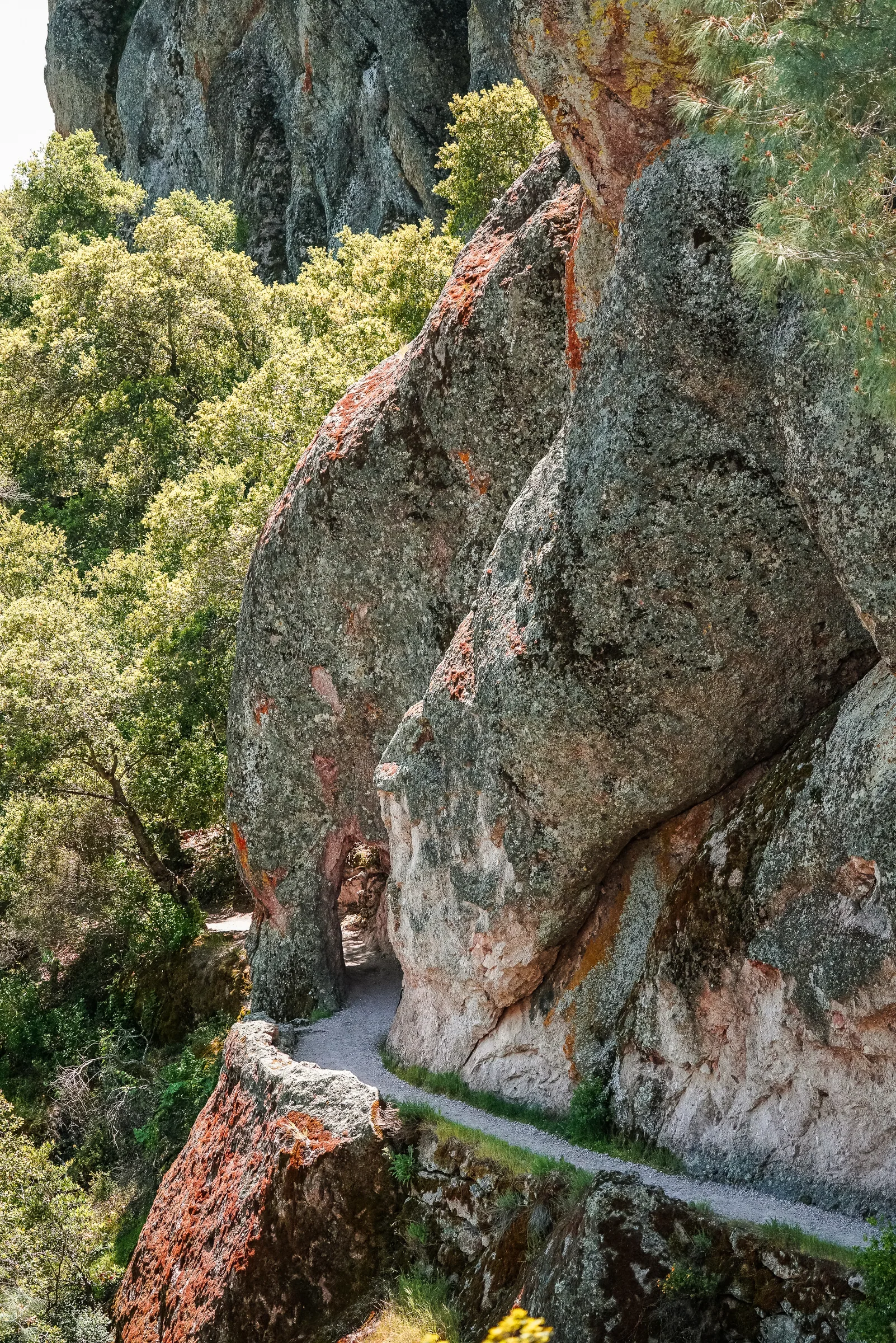 Condor Gulch Trail, Pinnacles